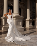 Elaria